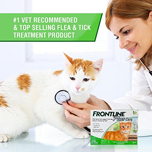 Merial Frontline Plus for Cats and Kittens Up to 8Week and Older