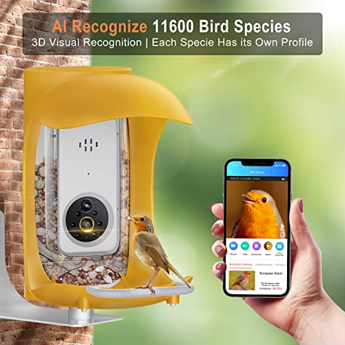 Bird Detective Smart Bird Feeder Notify You Whenever Birds Visit & AI