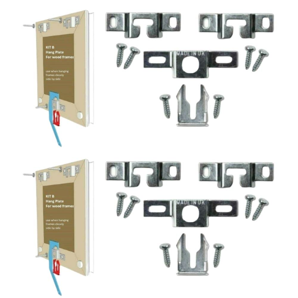 Anti Theft Security Picture Hangers Kit Spring Lock Quick Release Tool Picture Hooks Security Hardware Kit for Wooden Polymer Picture Photo Frames Kit B