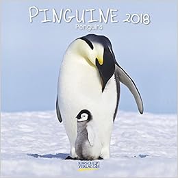 Pinguine 2018 Broschurenkalender Mit Ferienterminen Lustige Bilder Der Eis Vogel 30 X 30 Cm Amazon De Korsch Verlag Korsch Verlag Bucher