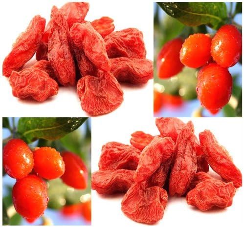 Nianyan ~ BULK ~ GOJI Berry Seeds - Lycii WOLFBERRY ASIAN Superfood - Grow your own Goji Berries in your backyard, garden, PERFECT HOUSE PLANT - Loads of Vitamins And Antioxidants (- 50+ Seeds)