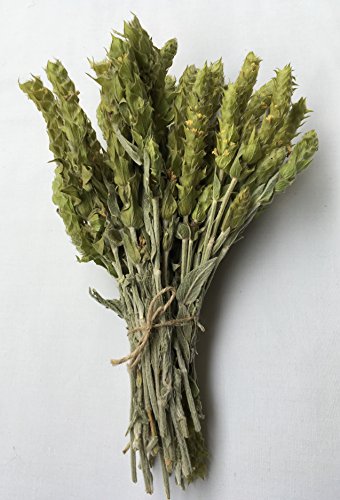 Minotaur Herbs | Bio Griechischer Bergtee 200g | Ganze Stängel, aus den Bergen Griechenlands | Premium Qualität aus kontrolliert biologischem Anbau – Bild 4