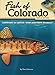 Fish of Colorado Field Guide (Fish Identification Guides) by 
