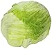 Iceberg Lettuce, 1 Each