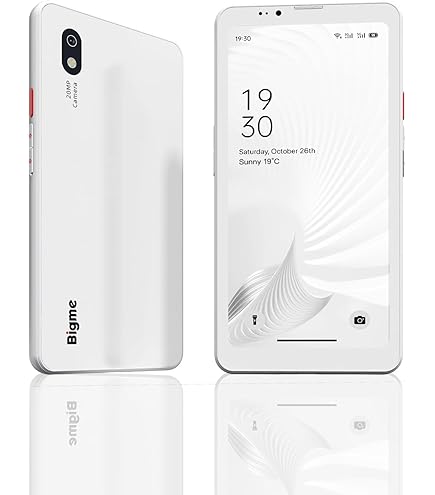 Bigme HiBreak pro ホワイト 8GB RAM 256GB ROM Amazon.com: Bigme ePaper Smartphone 6.1 inch Hibreak Pro, 8+