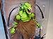 7th Kingdom The Mutant Ggruxx (Toyrocket Exclusive) Action Figure