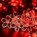 Qedertek Flower Solar Outdoor String Lights, 21ft 50 LED Fairy Blossom Christmas Lights Halloween Lights Decorative Lighting for Indoor, Home, Garden, Patio, Lawn, Party and Holiday Decoration (Red)