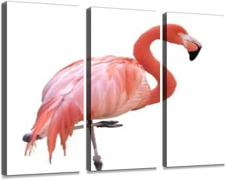 Amazon ベニイロフラミンゴ フラミンゴ 1羽 一羽 片足立ち 片脚立ち 鳥 鳥類 動物 生き物 生物 紅色 桃紅色 鮮やか 人物なし 無人モダン アートボード 壁アート 壁掛け モダンアート 壁飾り木枠セット 壁芸術 新築祝い インテリア オンライン通販