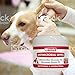 Nootie Medicated Dog Wipes - Antifungal Wipes - Antibacterial Wipes - Antimicrobial Wipes for Dogs 2% Chlorhexidine Wipes with 2% Micronazole for Best Results with Cats and Dogs Problems 60 pads - USA, White