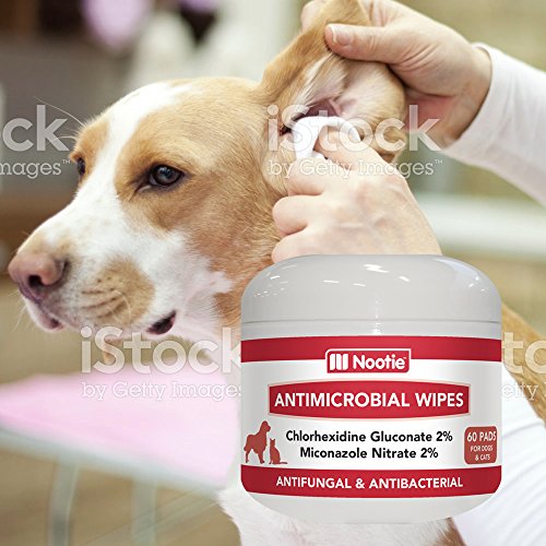 Nootie Medicated Dog Wipes Antifungal Wipes Antibacterial Wipes
