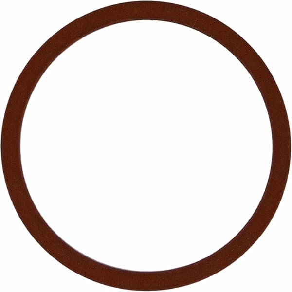 Amazon.com: MAHLE B32573 Engine Oil Cooler Seal : Automotive