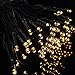 Christmas String Lights ( Warm White )- 100 Solar LEDs 700 INCH Waterproof for Outdoor / Wedding Party / Halloween Decoration / Garden / Home by Wizvv
