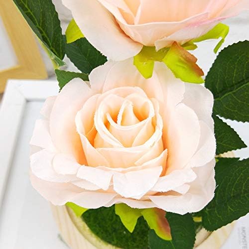 Lectoto 花ギフト 造花 クリアケース付き プリザーブドフラワー 仏花 永遠の花 お供え花 ガラスドーム 仏壇用 Ledライト Usb充電 B099wm7g 1 600円 全品最安値に挑戦 70 Offアウトレット 新作 人気の定番 ランキング総合1位