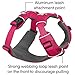 Ruffwear, Front Range Dog Harness, Reflective Soft Padded Everyday Harness with Dual Leash Clips, Adjustable and Lightweight Fit for Training or Walking for All Dogs, Wild Berry, Large/X-Large