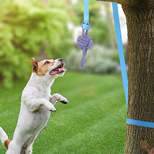 dog bungee rope