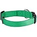Blueberry Pet Essentials Small Dog Collar | Boy Dog Collars Fall | Male Dog Collar Small | Emerald Dog Collars for Small Dogs | Quick Release Dog Collar | Emerald Nylon Dog Collar