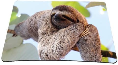 PEDEA Design Mouse Pad, Chilling Sloth, 220L x 180W mm