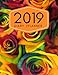 2019 Diary Planner: Page A Day (365 Pages) Daily Diary / Planner, Calendar Schedule Organizer for Da by 