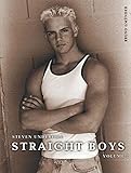 Straight Boys, Vol. 2 by 