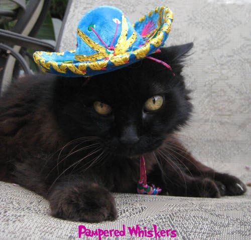 Pampered Whiskers Teohuacan Turquoise Miniature Sombrero hat for Dogs and Cats