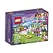 LEGO Friends Puppy Pampering 41302 Building Kit