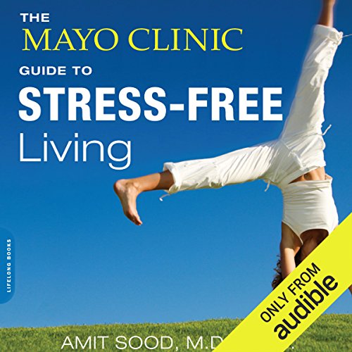 Best Stress Management Books: Slaying Your Stress Monster