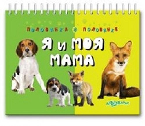 Азбукварик половинка к половинке цвета и формы /80 #2 (9785402016729)