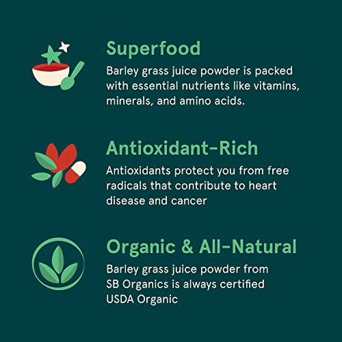 SB Organics Barley Grass Juice Powder - USDA Organic Antioxidant Superfood with Vitamins, Minerals, Chlorophyll - 8 oz.
