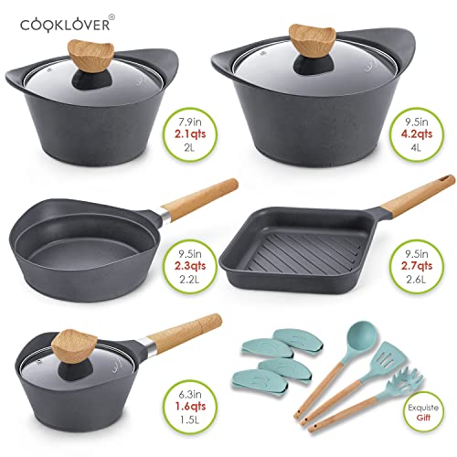 Cookware Set Nonstick 100 PFOA Free Induction Pots and Pans Set with