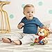 Skip Hop Bandana Buddies Baby Activity and Teething Toy with Multi-Sensory Rattle and Textures, Lion