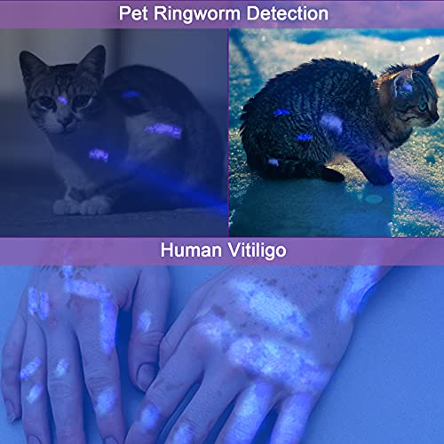 UV Flashlight Black Light USB Rechargeable 365 nm LED Ultraviolet