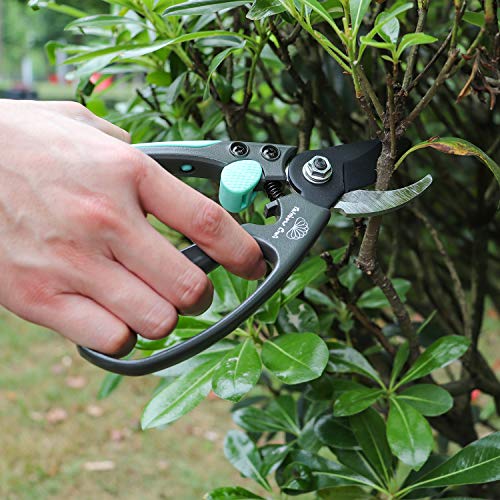 Rainbow Craft 8'' Bypass Pruner Shear, Rose Cutters, Herbs Scissors, Plant Trimming Shears for Garden&Lawn - Blue Color - Thumbnail 7