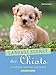 le langage secret des chiots by 