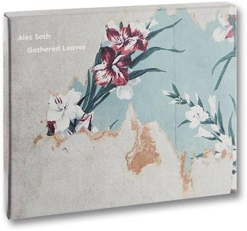 Download Alec Soth  Gathered Leaves - Postcard Set PDF