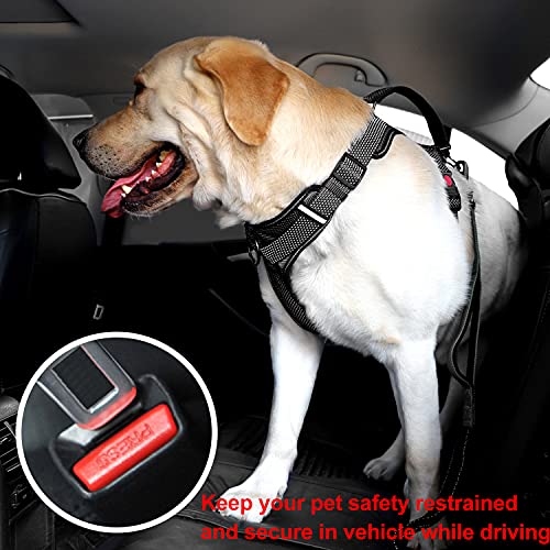 5-8Ft Dog Leash 6-in-1 Multifunctional Heavy Duty Leash with Soft Padded Traffic Handle and Highly Reflective Threads, Shock Absorbing Bungee Leash Rope with Car Seat Belt for Medium and Large Dogs