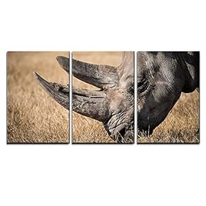 3 Piece Canvas Wall Art - Rhino with Giant Horn on The Grassland - Modern Home Art Stretched and Framed Ready to Hang - 16"x24"x3 Panels