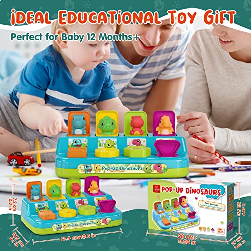 Pop Up Toy, Baby Pop Up Cause and Effect Toys for Toddlers 13