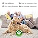 Fedciory Flea and Tick Prevention Collar for Dogs Up to 8 Months Protection Hypoallergenic and Waterproof Flea & Tick Control Adjustable Size Fits All Large Medium and Small Dog, Gray