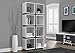 Monarch Specialties White/Grey Hollow-Core Bookcase, 71-Inch
