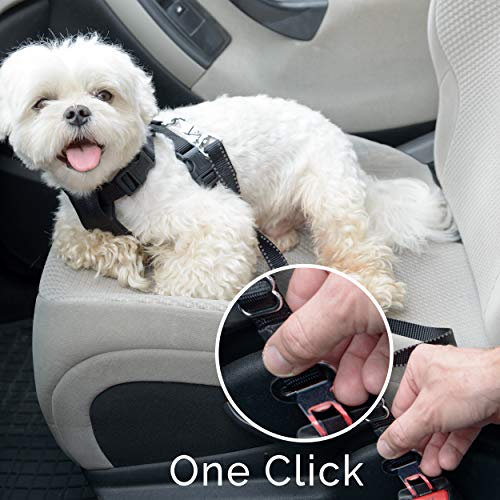 image for Duke & Dixie Dog Seat Belt, Pet Dog Cat Car Seatbelt Harness Safety - 