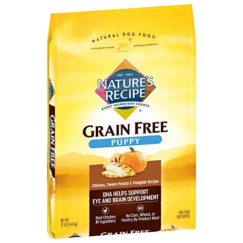 Nature’s Recipe Grain Free Chicken, Sweet Potato & Pumpkin Recipe, Dry