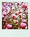 Polaroid Love Notes: 20 Different Notecards and Envelopes (Love Themed Greeting Cards, Retro Photography Gift)