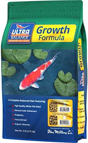 bulldog has scabs and hair loss