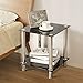TAVR Glass Square End Table Set of 2 Industrial Night Stand Side Corner Coffee Table with Tempered Glass Shelves for Living Room Bedroom, Stainless Chrome Frame and Easy Assembly,Black ET5001