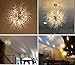 GDNS Chandeliers Firework LED Light Stainless Steel Crystal Pendant Lighting Ceiling Light Fixtures Chandeliers Lighting,Dia 27.5 Inch
