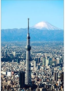 Amazon ピンナップ ポストカード スカイツリー 富士山縦 Ty4 カード ポストカード ポストカード 写真 ポストカード 絵柄付はがき 文房具 オフィス用品