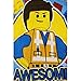 Lego Movie Boys 4 pc Cotton Pajamas Set