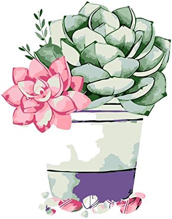 Paint by Numbers Canvas DIY Oil Painting, Paint by Number Kits Succulent Flower Potted Plants 16x20 inch (Frameless)