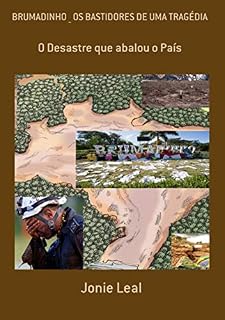 Livro BRUMADINHO _ OS BASTIDORES DE UMA TRAGÉDIA: O Desastre que abalou o País