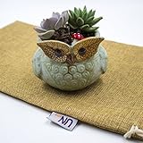 UName Micro Landscape Succulent Plants Creative Flower Planters, Mini Plants Pot, Ceramics Decoration, Handmade, Small Plant Containers, Owl Design Succulent Planter,Green. (leaf-shape eye owl)UN234